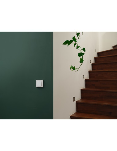 SMART+ MATTER WALL SWITCH 2 CHANNEL 