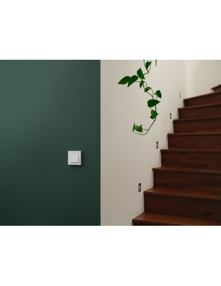SMART+ MATTER WALL SWITCH 2 CHANNEL 
